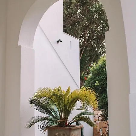 Апартаменты Orion