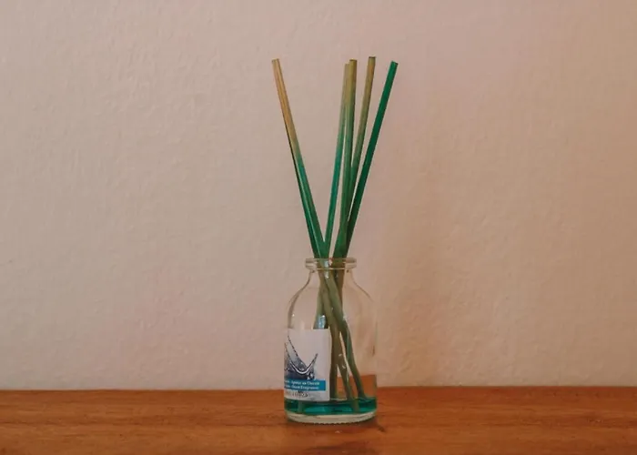 Orion Διαμέρισμα Νάουσα